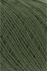 96.0098 - olive dunkel