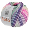 Artikelbild 1 des Artikels “MEILENWEIT 100g Seta Asia “
