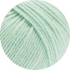 46 - Mint