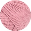 66 - Rosa