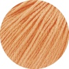 02 - Apricot