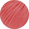 04 - Nelkenrot