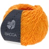 Artikelbild 1 des Artikels “Lana Grossa Bacca “
