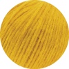 21 - Maisgelb
