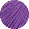 62 - Viola