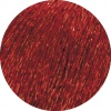 17 - Rot