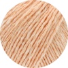 24 - Apricot