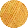 22 - Gelb