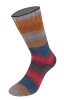 7798 - graubraun/amarenarot/dunkeljeans/graubraun/veilchenblau/nussbraun