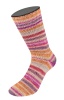 7761 - Rost/Hellbeige/Cognac/Brombeer/Fuchsia/Weinrot/Hellgrau