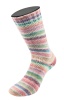 7769 - Creme/Rosé/Veilchenblau/Lachs/Pfirsich/ Mint/Minttürkis/Graublau/Grau-/Hellrot/