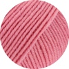 1631 - Rosa meliert