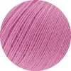 52 - Rosa