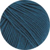 2049 - Blaupetrol