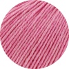 1431 - Rosa meliert