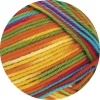 306 - Gelb/Orange/Rot/Grün/Türkis/Violett