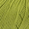 84 - kiwi