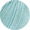 2020 - Mint
