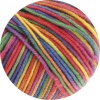 703 - Lila/Grün/Himbeer/Orange/Gelb/Blau