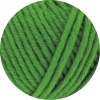 71 - Grasgrün