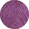20 - Pflaume