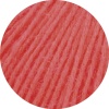 36 - Himbeer