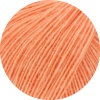 79 - Apricot