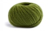 66 - Kiwi