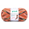 Artikelbild 1 des Artikels “Gründl Hot Socks Selezione 4-fach “