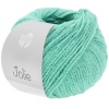 Artikelbild 1 des Artikels “Lana Grossa Jolie “