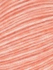 17 - Apricot