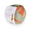Artikelbild 1 des Artikels “Laines du nord Summer Sock “
