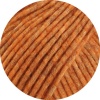 30 - Rost meliert