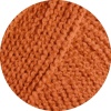 19 - Orange