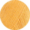 04 - Dottergelb