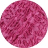 14 - Fuchsia
