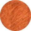 05 - Rost