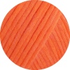 06 - Kürbis