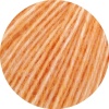 19 - Apricot meliert