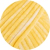 101 - Gelb/Weiß
