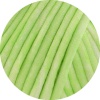 107 - Frühlingsgrün/Weiß