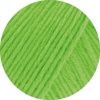 18 - Maigrün