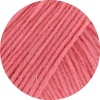 28 - Himbeer