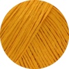 11 - Ginstergelb