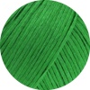 24 - Grün