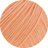 41 - Apricot