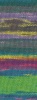 2026 - Fuchsia/Violett/Pistazie/Petrol-/Graugrün/Lila/Graphitgrau/Frühlingsgrün