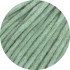 17 - Mint meliert