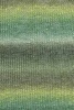1066.0017 - grün