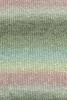 1066.0052 - pastell
